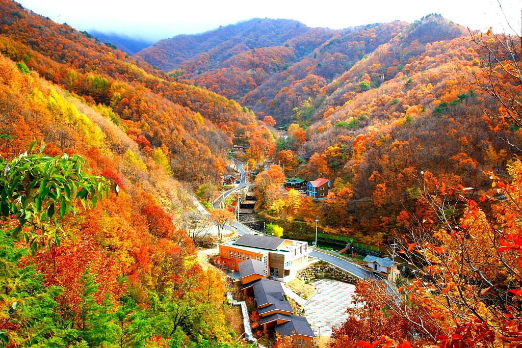 đỉnh núi Cheonwangbong Hàn Quốc thay màu áo mới