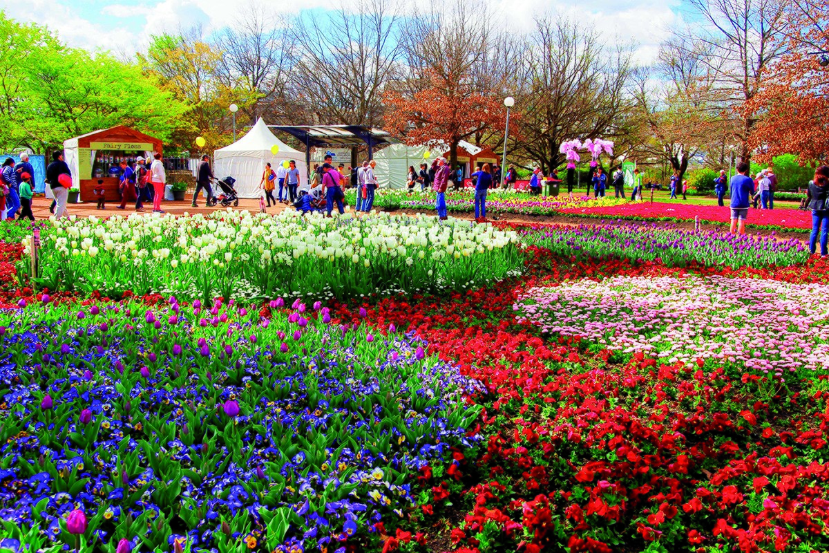 Công viên hoa tulip Commonwealth