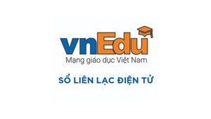 vnedu